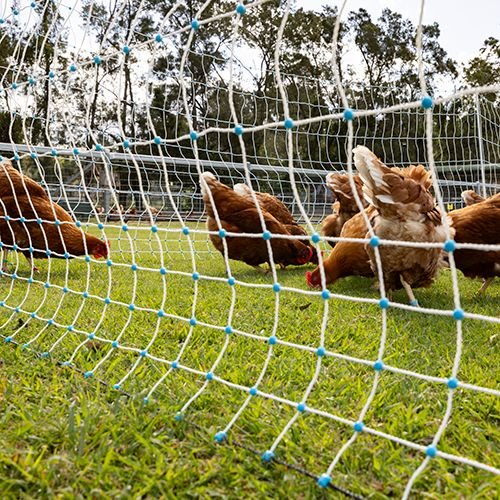 14664 - Animal Accessories - Poultry Netting Electrifiable - 50m x 112cm - Austral Ag