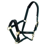 Premium Horse Halter Cob Size - Animal Accessories - Austral Ag