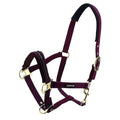 Premium Horse Halter Pony Size - Animal Accessories - Austral Ag