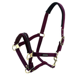 Premium Horse Halter Pony Size - Animal Accessories - Austral Ag
