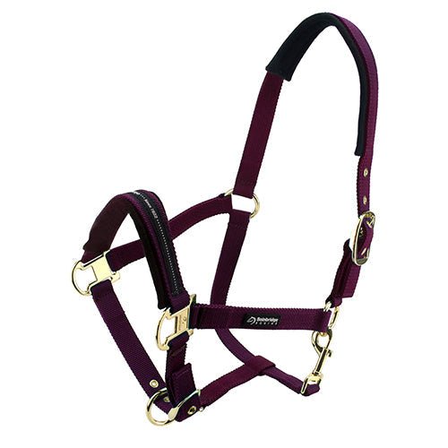 Premium Horse Halter Pony Size - Animal Accessories - Austral Ag