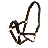 Premium Horse Halter Pony Size - Animal Accessories - Austral Ag