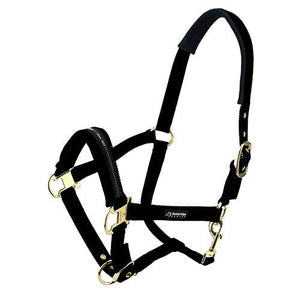 Premium Horse Halter Pony Size - Animal Accessories - Austral Ag