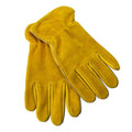 18868 - Hardware - Premium Leather Gloves with Palm and Back Protection - Small - Austral Ag