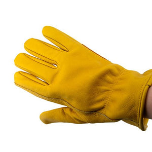 18865 - Hardware - Premium Leather Gloves with Palm Protection - Small - Austral Ag