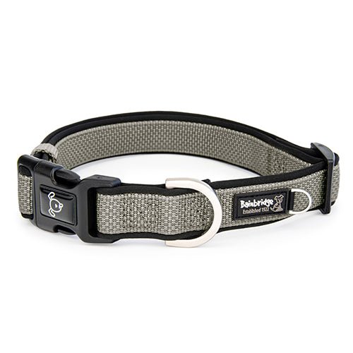 14063 - Animal Accessories - Premium Sport Dog Collar with Neoprene - Silver - XS - Austral Ag
