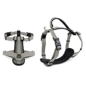14105 - Animal Accessories - Premium Sport Dog Harness with Safety Handle - Silver - XS - Austral Ag