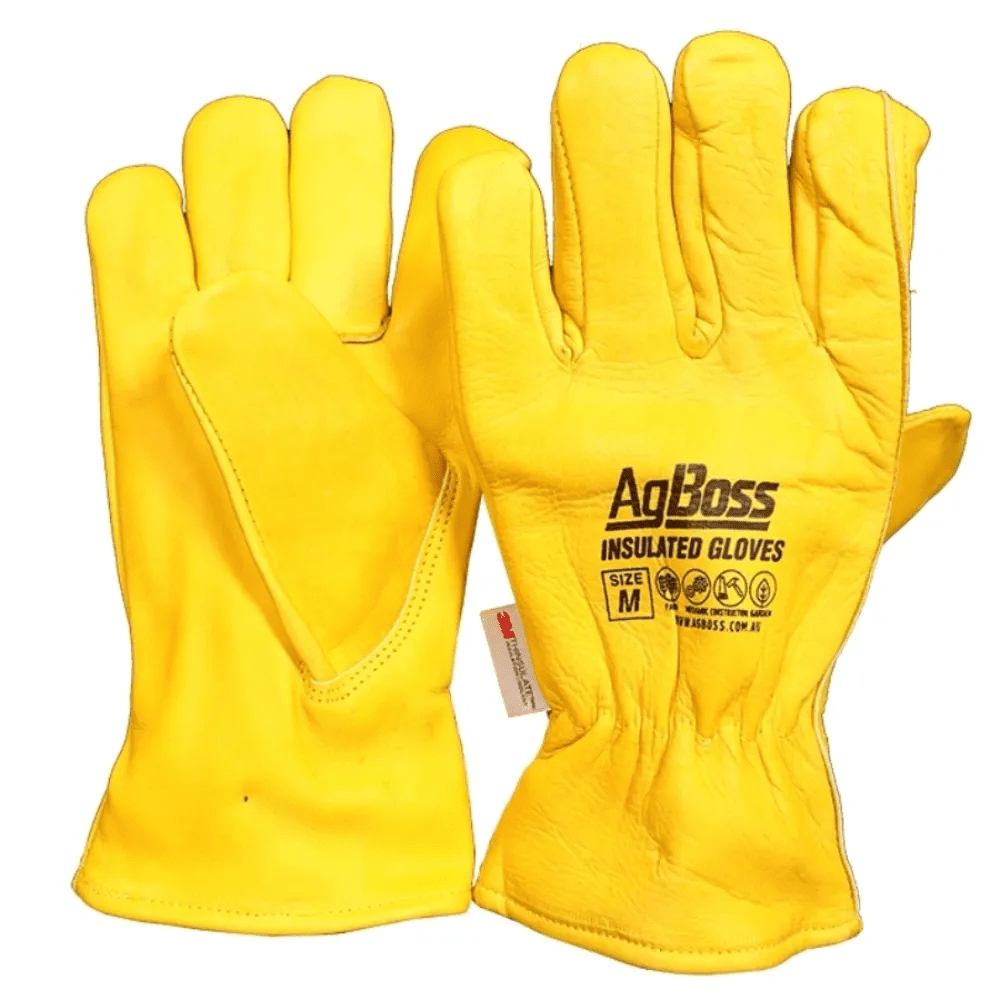 18347 - Hardware - Rigger Thinsulate Leather Gloves - Medium - Austral Ag