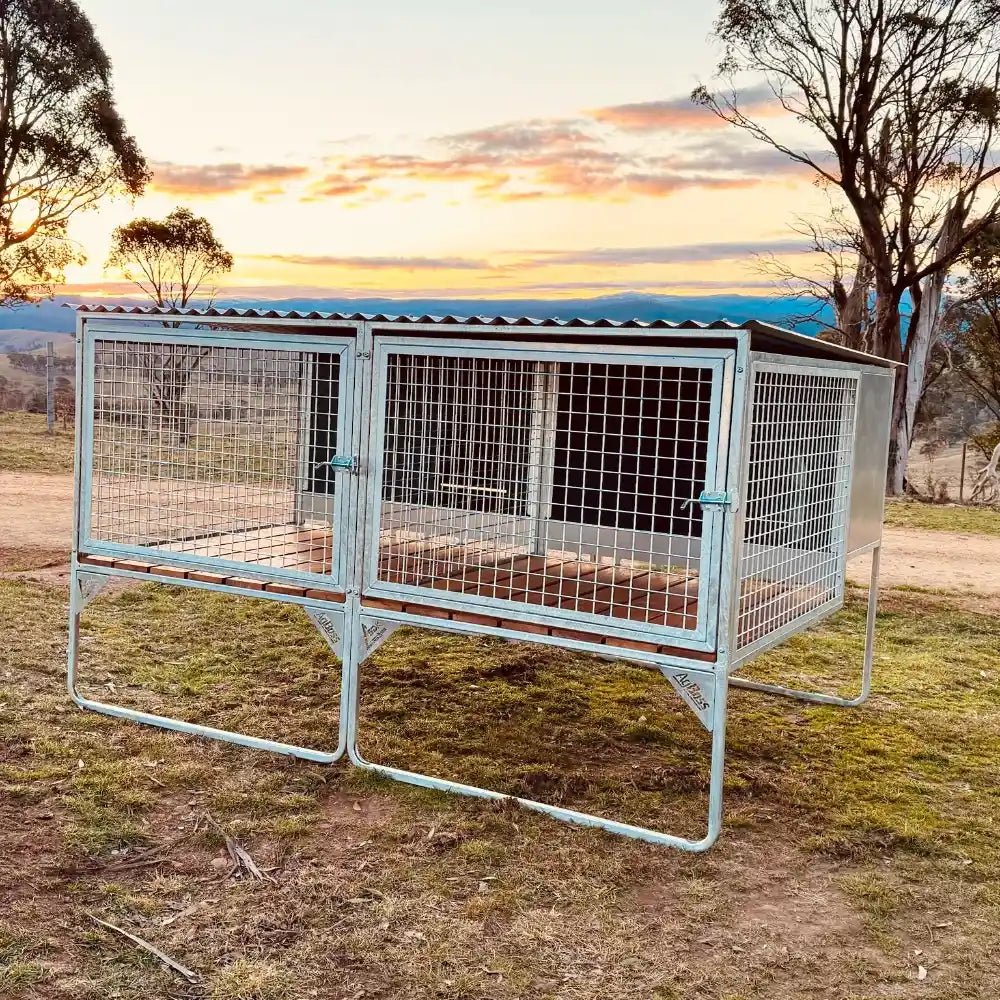 18520 - Animal Accessories - SDK Raised Dog Kennel Portable Outdoor Steel Cage with Roof - 3 - Austral Ag