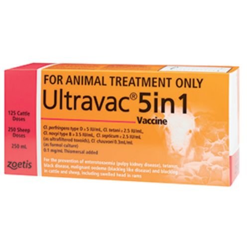 Ultravac 5 in 1 Vaccine Bottle - Animal Health - Austral Ag