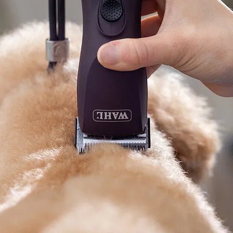 18490 - Animal Accessories - Wahl KM Supera Cordless Clipper With 10 Prime Series Blade - Austral Ag