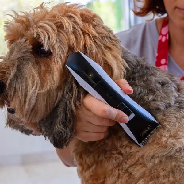 13264 - Animal Accessories - Wahl Lithium Dog Clipper With Adjustable Blade - Austral Ag