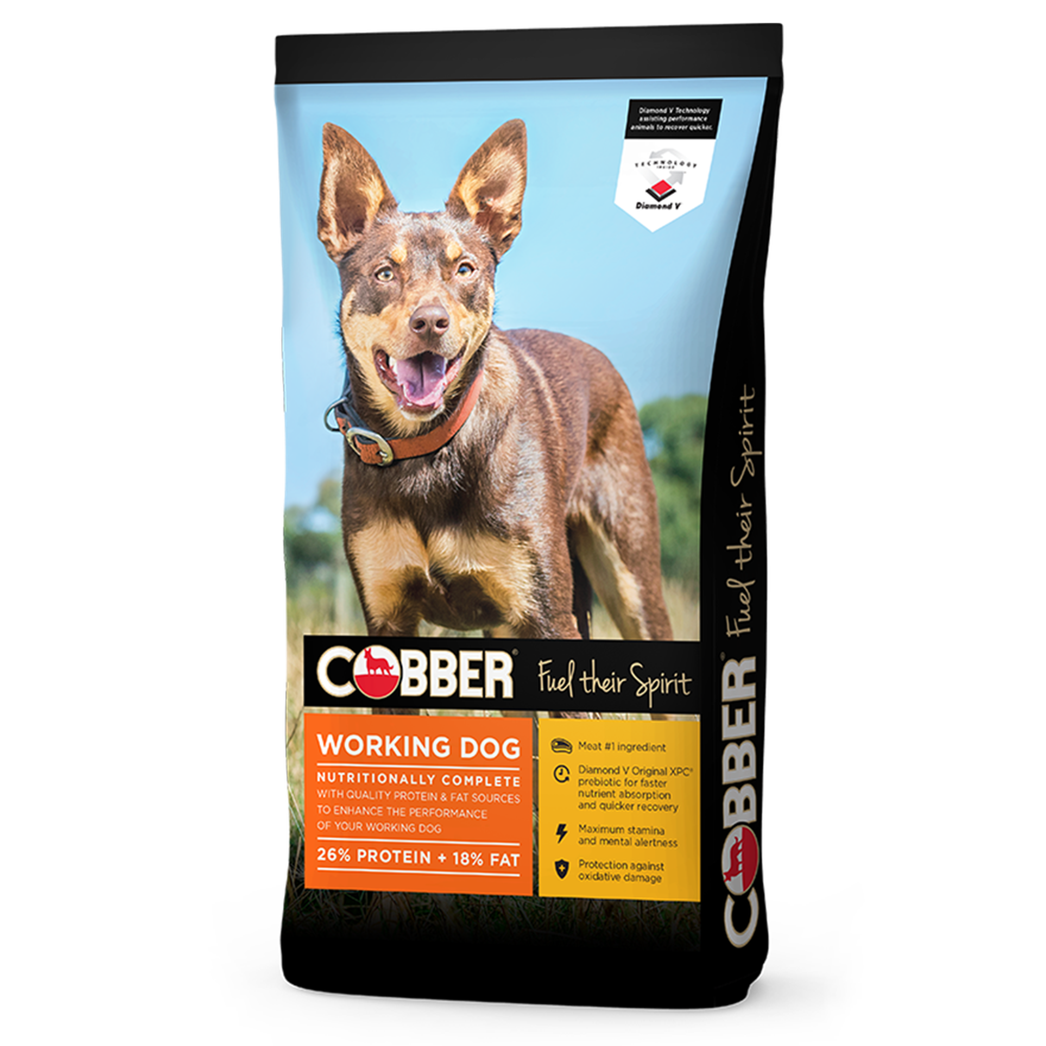 Cobber Working Dog 20kg Feed Ridley Agriproducts Pty Ltd 20kg