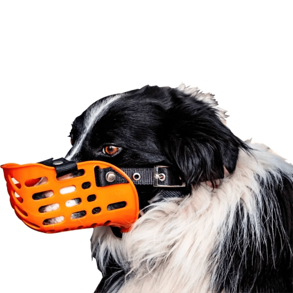 18291 - Animal Accessories - Working Dog Muzzle Plastic - Austral Ag