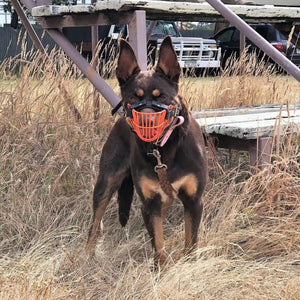 18292 - Animal Accessories - Working Dog Muzzle Wire - Austral Ag